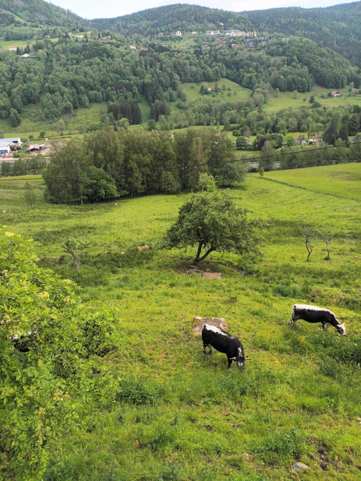 Gite Bussang Buitenkant foto
